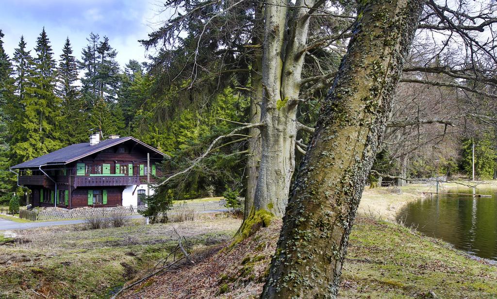 Apartment Chalet Kladska Марианске-Лазне Экстерьер фото