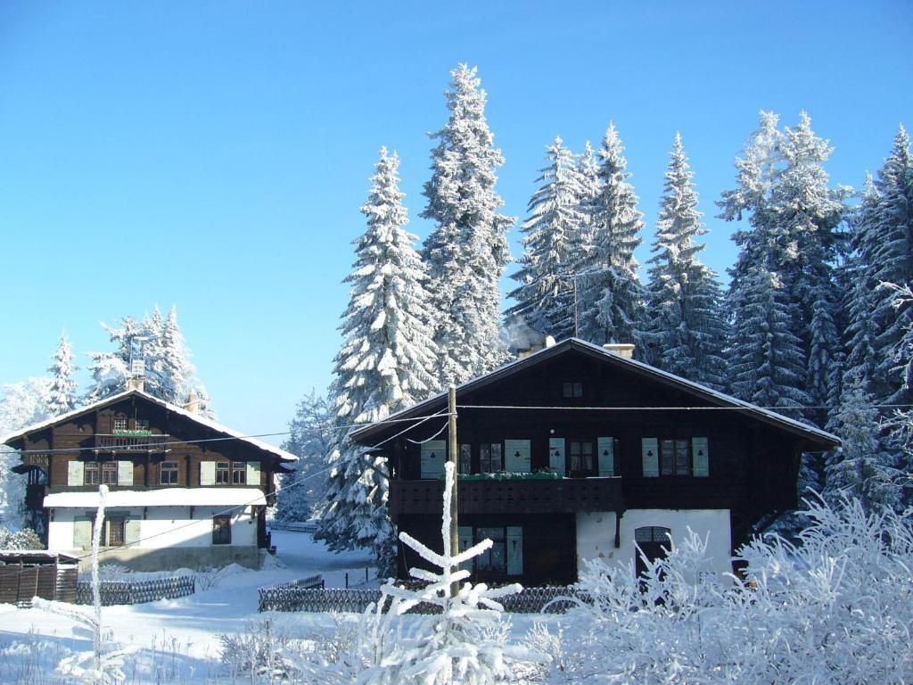 Apartment Chalet Kladska Марианске-Лазне Экстерьер фото